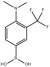 (4-(Dimethylamino)-3-(trifluoromethyl)phenyl)boronic acid 结构式