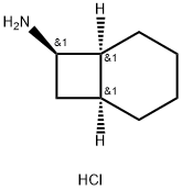 RAC-(1R,6R,7S)-BICYCLO[4.2.0]OCTAN-7-AMINE HYDROCHLORIDE 结构式