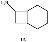 Bicyclo[4.2.0]octan-7-amine, hydrochloride (1:1) 结构式