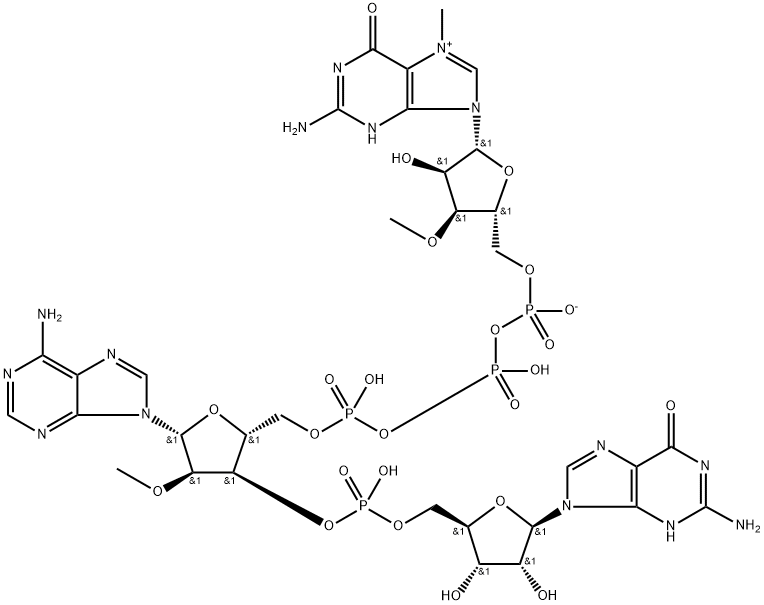 Guanosine, 7-methylguanylyloxyphosphinicooxyphosphinico-(5'→5')-2'-O-methyladenylyl-(3'→5')-, inner salt 结构式