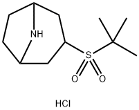 3-(2-甲基丙烷-2-磺酰基)-8-氮杂双环[3.2.1]辛烷盐酸盐 结构式