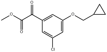 Methyl 3-chloro-5-(cyclopropylmethoxy)-α-oxobenzeneacetate 结构式