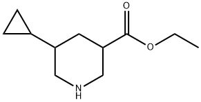 ethyl5-cyclopropylpiperidine-3-carboxylate 结构式