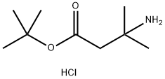 tert-butyl 3-amino-3-methylbutanoate hydrochloride 结构式