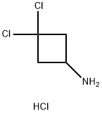 3,3-DICHLOROCYCLOBUTAN-1-AMINE HYDROCHLORIDE 结构式