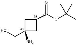 (1R,3R)-3-氨基-3-(羟甲基)环丁烷羧酸叔丁酯 结构式