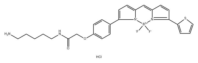 氟化硼二吡咯 TR CADAVERINE 结构式