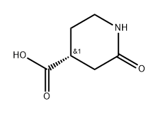 (R)-2-Oxo-piperidine-4-carboxylic acid 结构式