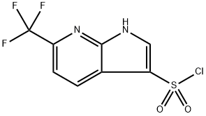 6-(三氟甲基)-1H-吡咯并[2,3-B]吡啶-3-磺酰氯 结构式