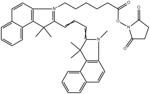 Cyanine3.5-琥珀酰亚胺/活化酯 结构式