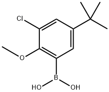 (5-(tert-butyl)-3-chloro-2-methoxyphenyl)boronic acid 结构式