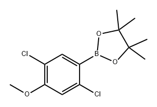 2-(2,5-二氯-4-甲氧基苯基)-4,4,5,5-四甲基-1,3,2-二氧硼烷 结构式