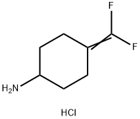 4-(二氟亚甲基)环己烷-1-胺盐酸盐 结构式