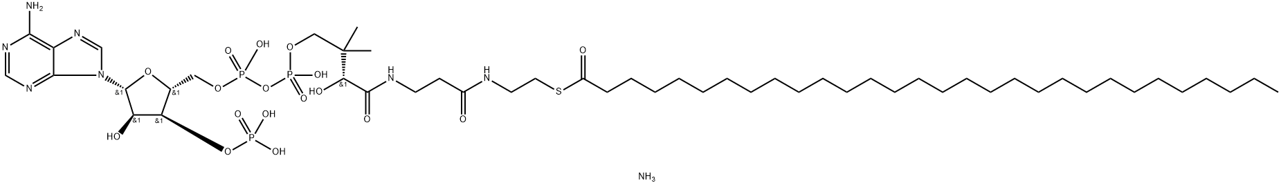 三十酰 辅酶 A (铵盐) 结构式
