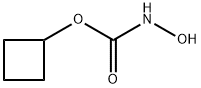 羟基氨基甲酸环丁酯 结构式