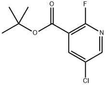 5-氯-2-氟烟酸叔丁酯 结构式