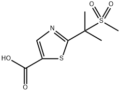 2-(2-(甲基磺酰基)丙-2-基)噻唑-5-羧酸 结构式