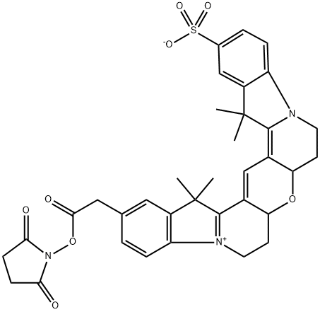 5'',6'':3',4']dipyrido[1,2-a:1',2'-a']diindol-5-ium, 2-[2-[(2,5-dioxo-1-pyrrolidinyl)oxy]-2-oxoethyl]-6,7,7a,8a,9,10,16,18-octahydro-16,16,18,18-tetramethyl-14-sulfo-, inner salt 结构式