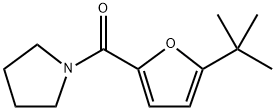 (5-(tert-butyl)furan-2-yl)(pyrrolidin-1-yl)methanone 结构式