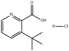 3-(叔丁基)吡啶甲酸(盐酸盐) 结构式