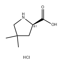 (2R)-4,4-二甲基吡咯烷-2-羧酸盐酸盐 结构式