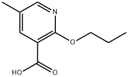 3-Pyridinecarboxylic acid, 5-methyl-2-propoxy- 结构式