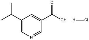 5-异丙基烟酸(盐酸盐) 结构式