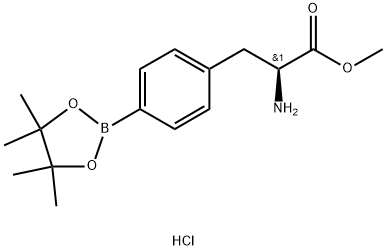(2S)-2-氨基-3-[4-(四甲基-1,3,2-二氧杂硼戊烷-2-基)苯基]丙酸甲酯盐酸盐 结构式