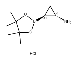 trans-2-(4,4,5,5-tetramethyl-1,3,2-dioxaborolan-2-yl)cyclopropan-1-amine hydrochloride 结构式