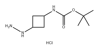 (3-肼基环丁基)氨基甲酸叔丁酯盐酸盐 结构式