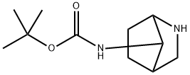 ((7R)-2-氮杂双环[2.2.1]庚-7-基)氨基甲酸叔丁酯 结构式