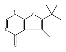 6-(叔丁基)-5-甲基噻吩并[2,3-D]嘧啶-4(1H)-酮 结构式