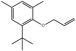 1-(1,1-Dimethylethyl)-3,5-dimethyl-2-(2-propen-1-yloxy)benzene 结构式