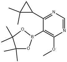 4-(2,2-二甲基环丙基)-6-甲氧基-5-(4,4,5,5-四甲基-1,3,2-二氧杂硼烷-2-基)嘧啶 结构式