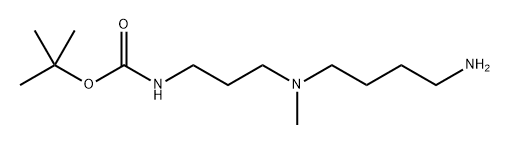 tert-butyl N-{3-[(4-aminobutyl)(methyl)amino]propyl}carba mate 结构式