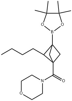 (2-丁基-3-(4,4,5,5-四甲基-1,3,2-二氧杂硼烷-2-基)双环[1.1.1]戊-1-基)(吗啉代)甲酮 结构式