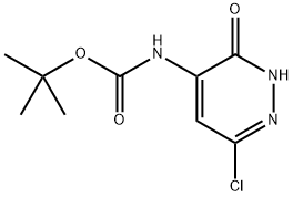 (6-氯-3-氧代-2,3-二氢哒嗪-4-基)氨基甲酸叔丁酯 结构式