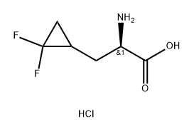 (2R)-2-氨基-3-(2,2-二氟环丙基)丙酸盐酸盐 结构式
