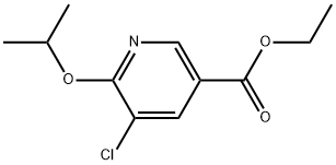 Ethyl 5-chloro-6-(1-methylethoxy)-3-pyridinecarboxylate 结构式