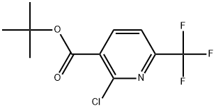 2-氯-6-(三氟甲基)烟酸叔丁酯 结构式