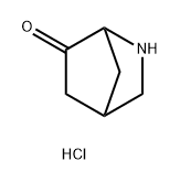 2-氮杂双环[2.2.1]庚烷-6-酮(盐酸盐) 结构式