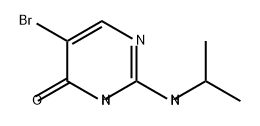 5-溴-2-(异丙基氨基)嘧啶-4(3H)-酮 结构式