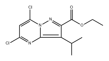 5,7-二氯-3-异丙基吡唑并[1,5-A]嘧啶-2-甲酸乙酯 结构式