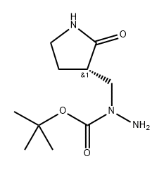(S)-叔丁基 1-((2-氧代吡咯烷-3-基)甲基)肼甲酸酯 结构式