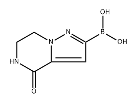 (4-氧代-4,5,6,7-四氢吡唑并[1,5-A]吡嗪-2-基)硼酸 结构式