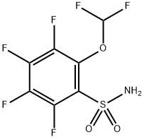 2-(二氟甲氧基)-3,4,5,6-四氟苯磺酰胺 结构式