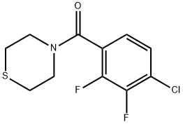 (4-chloro-2,3-difluorophenyl)(thiomorpholino)methanone 结构式