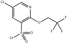 5-氯-2-(2,2,2-三氟乙氧基)吡啶-3-磺酰氯 结构式