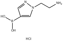 (1-(2-氨基乙基)-1H-吡唑-4-基)硼酸盐酸盐 结构式