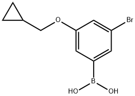 (3-溴-5-(环丙基甲氧基)苯基)硼酸 结构式